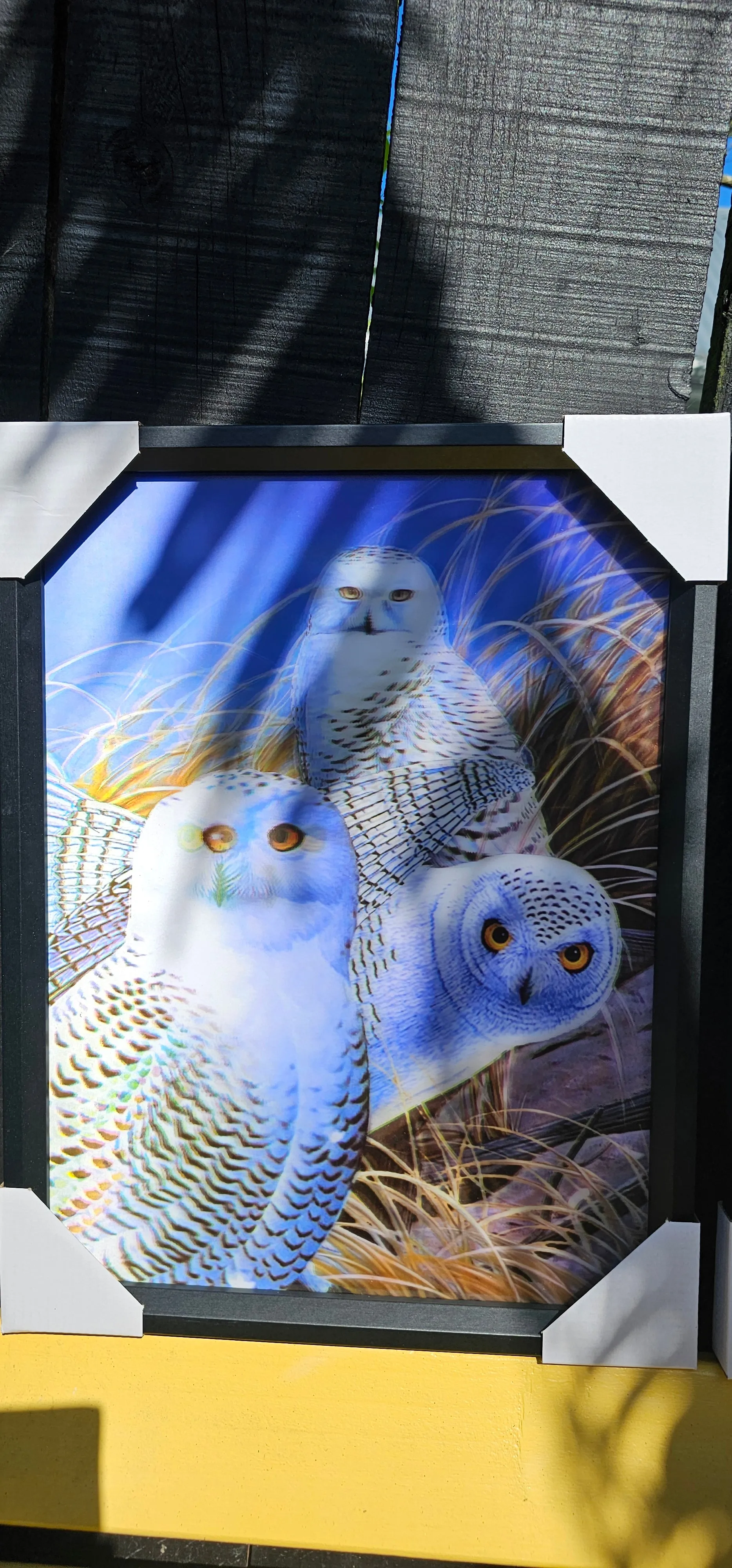 3D WALL ART 3 DESIGNS