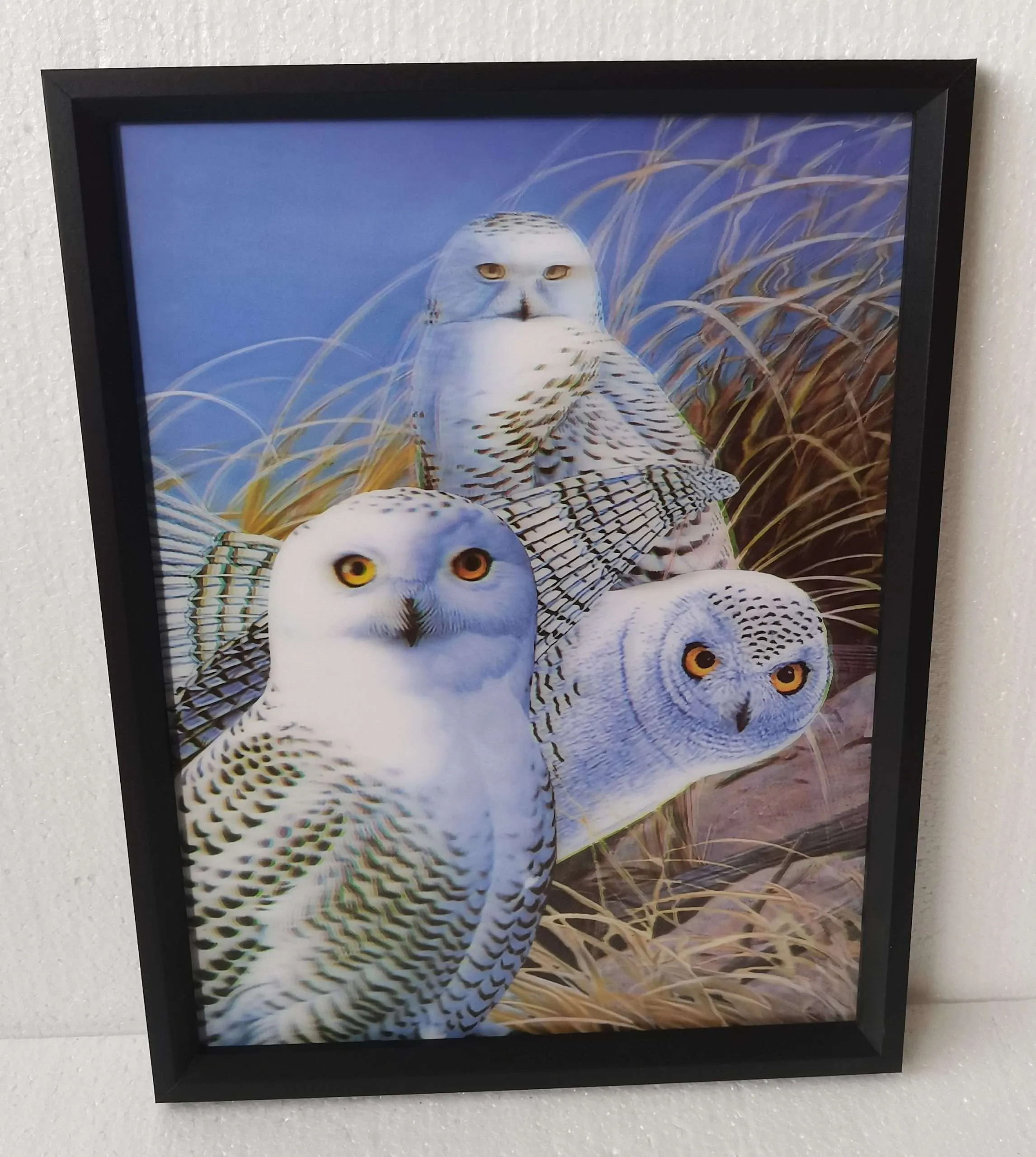 3D WALL ART 3 DESIGNS