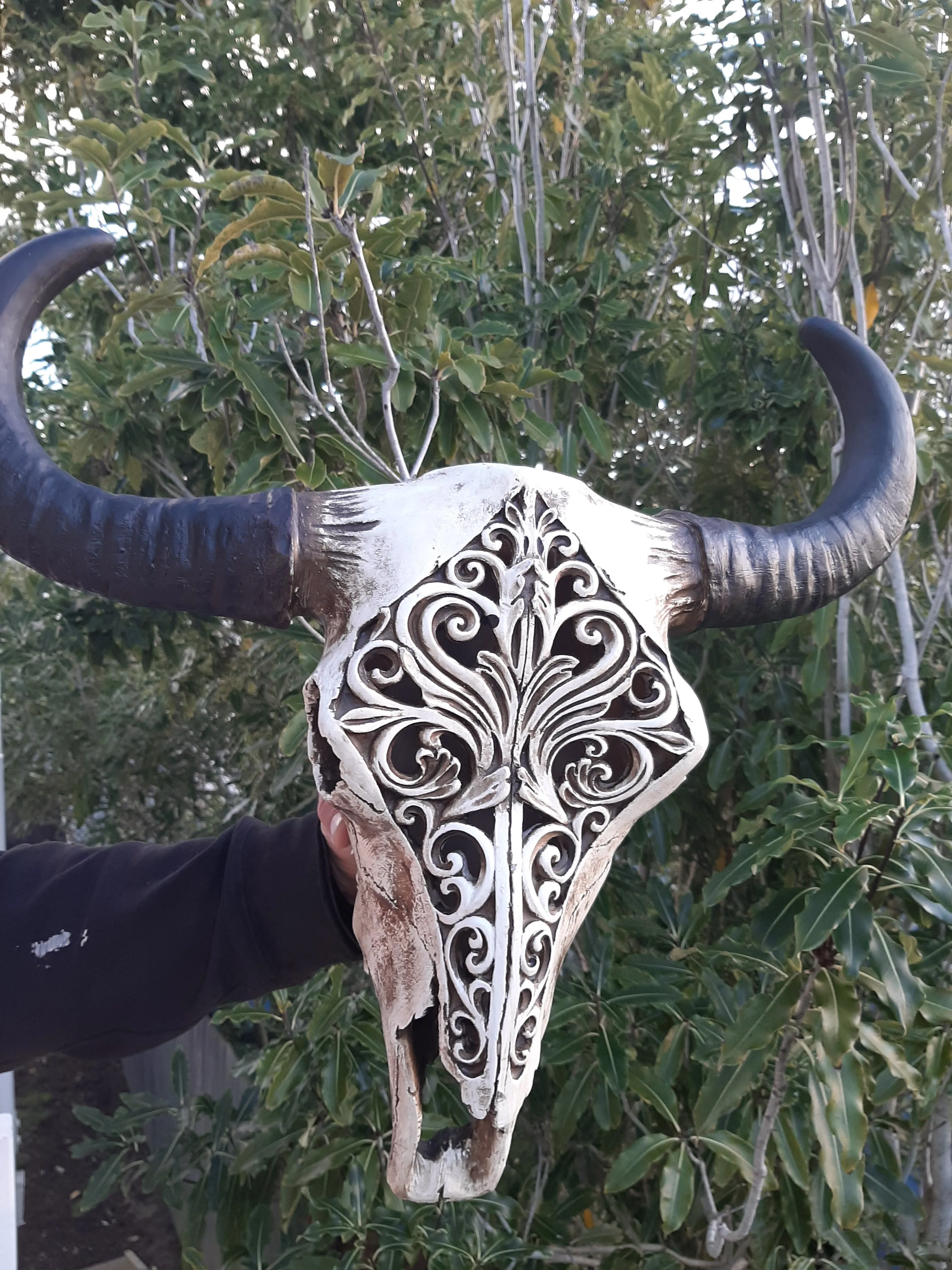 CARVED BULL SKULL NO1