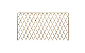 Evenflo Expansion Swing Wide Wood Gate