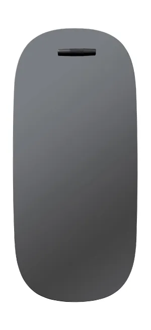 Fdb Møbler I4 Birksø Mirror 50x110 Cm, Black