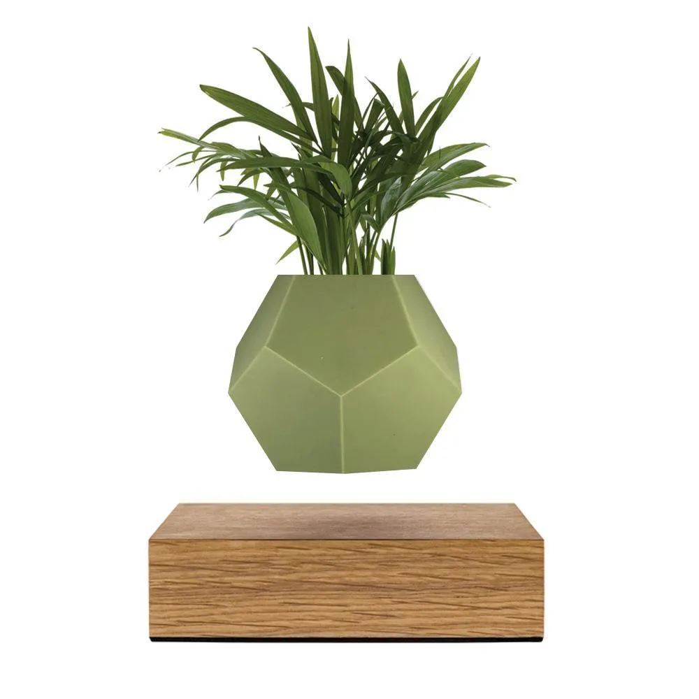 Flyte Lyfe Case, Olive