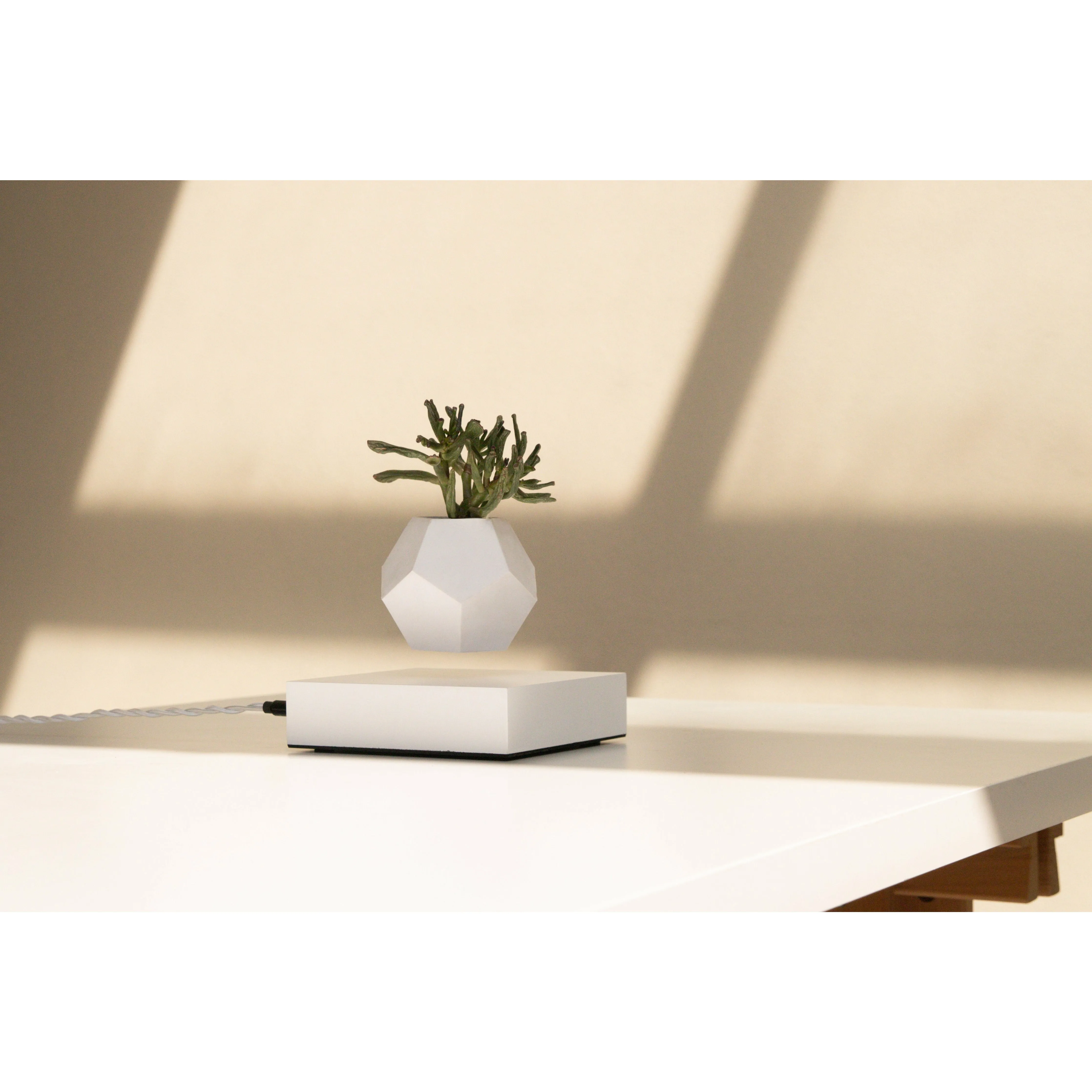 Flyte Lyfe Plant, White