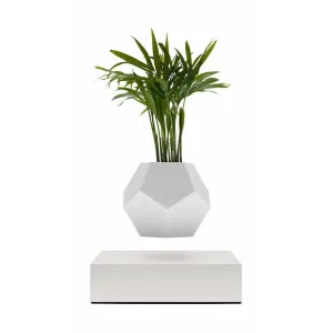 Flyte Lyfe Plant, White