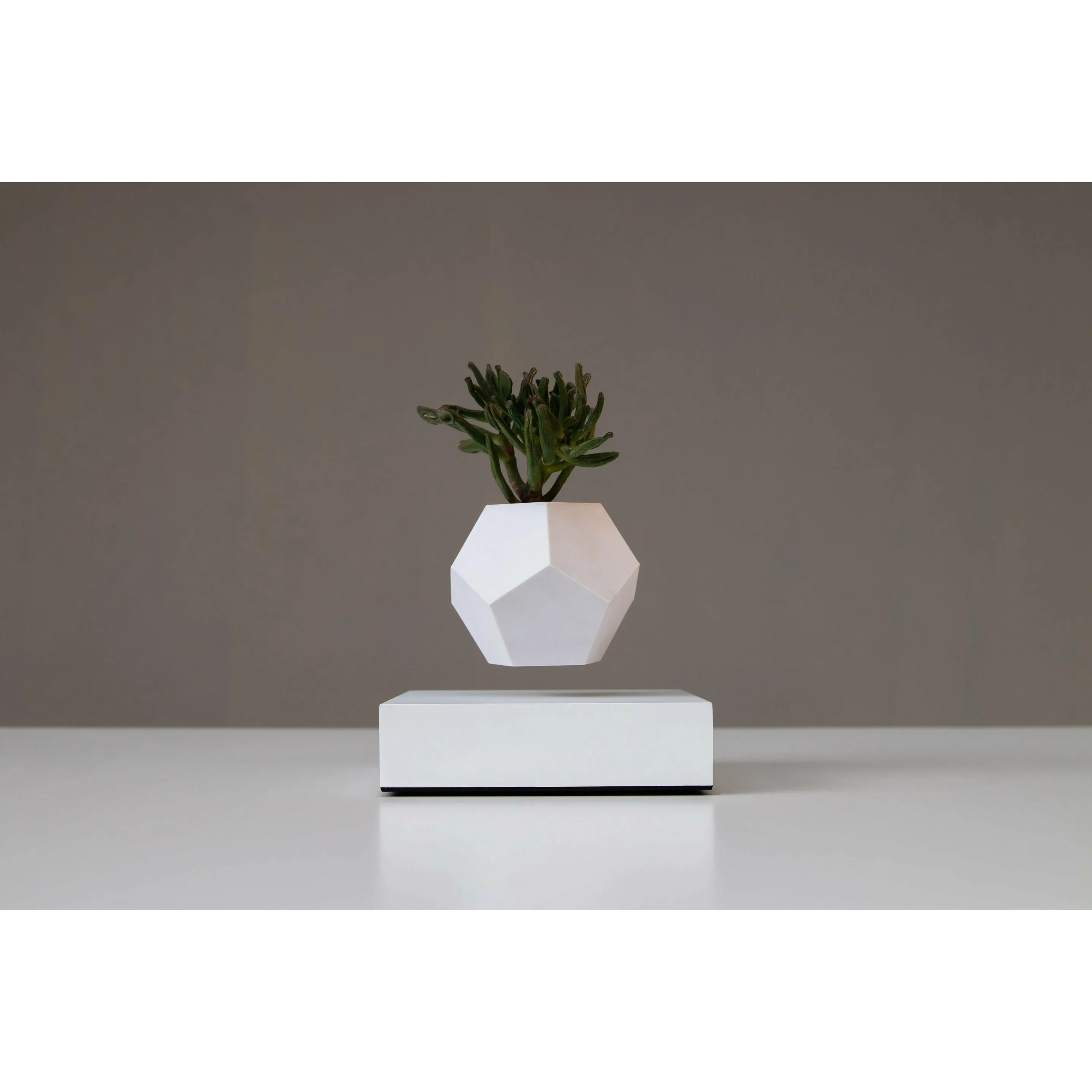Flyte Lyfe Plant, White