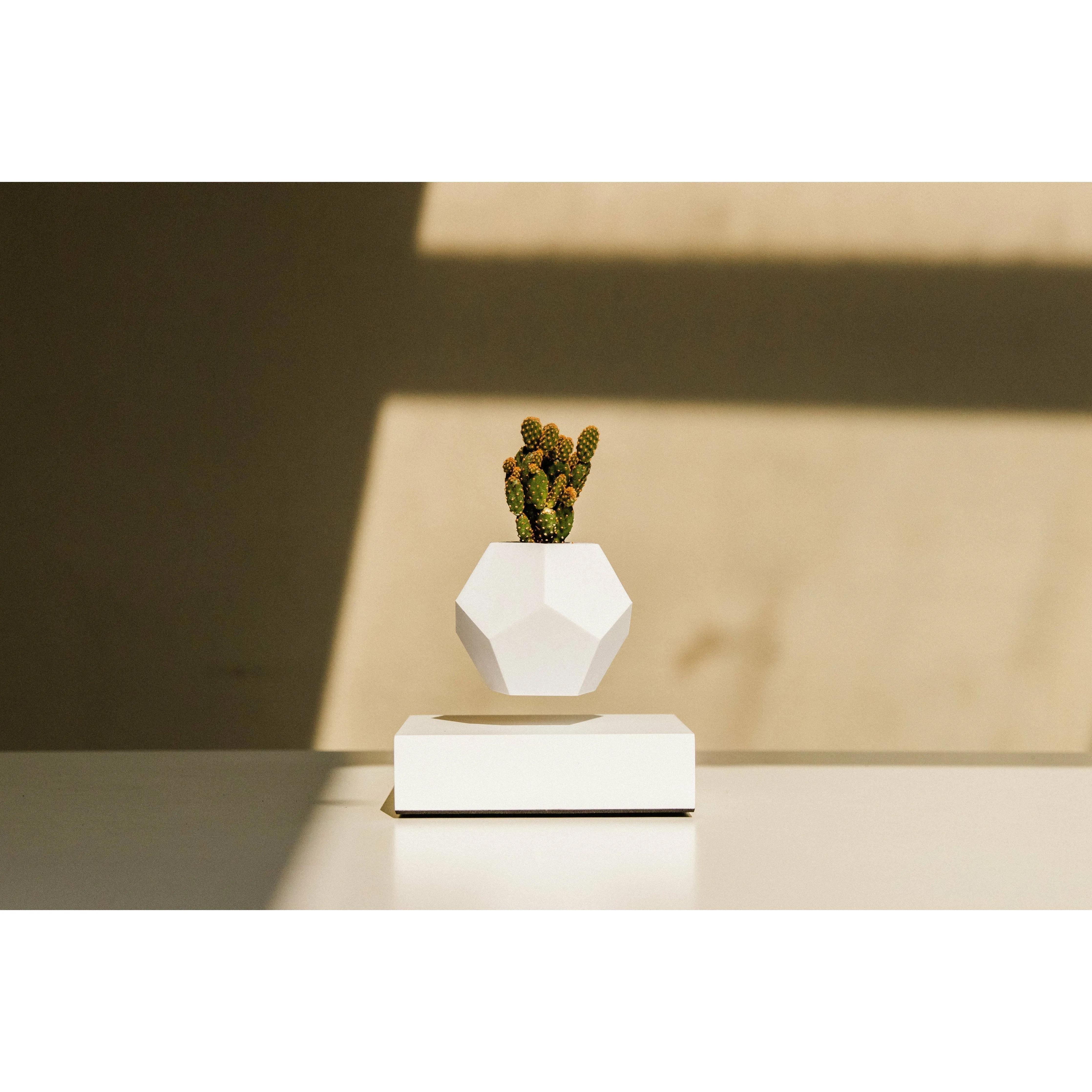 Flyte Lyfe Plant, White