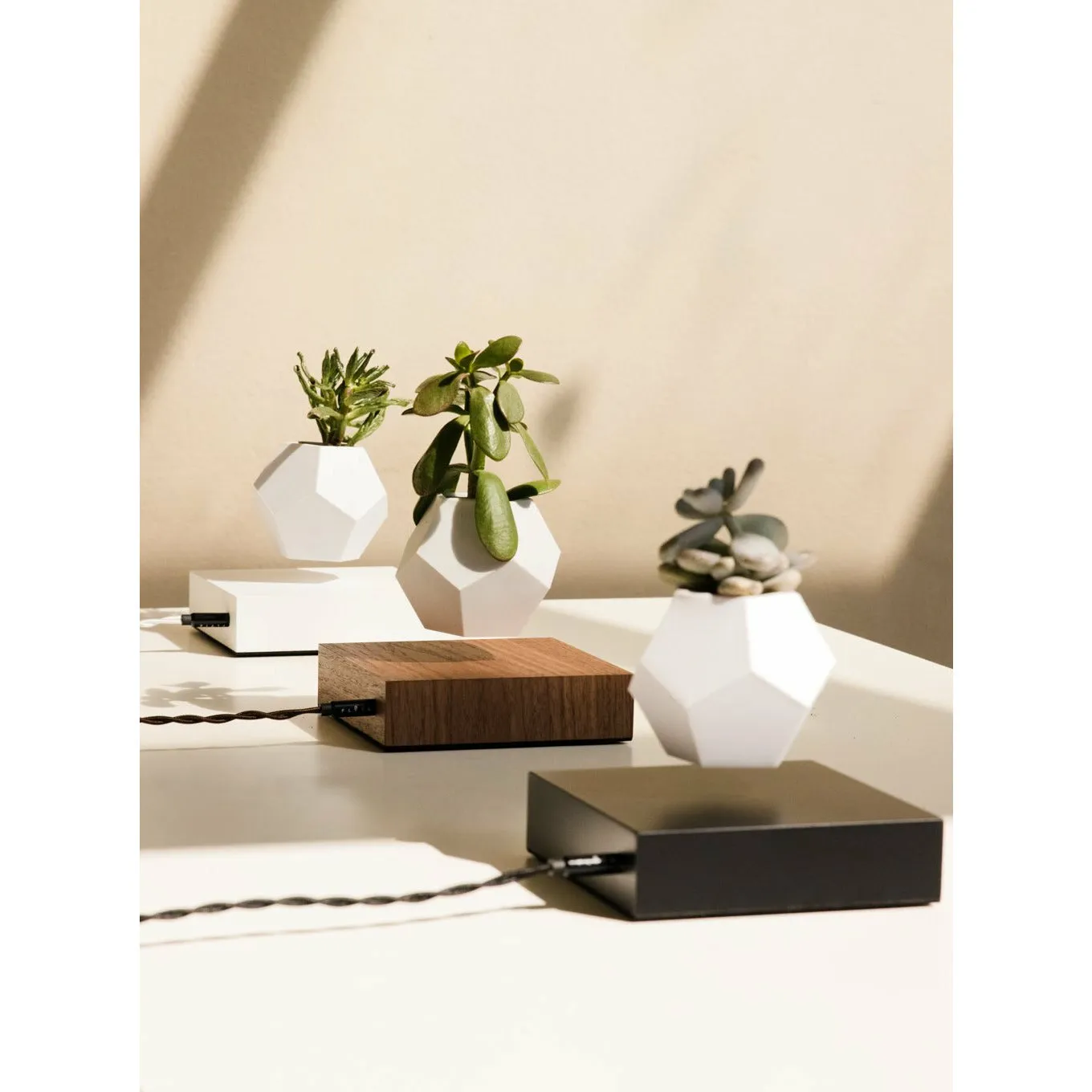 Flyte Lyfe Plant, White