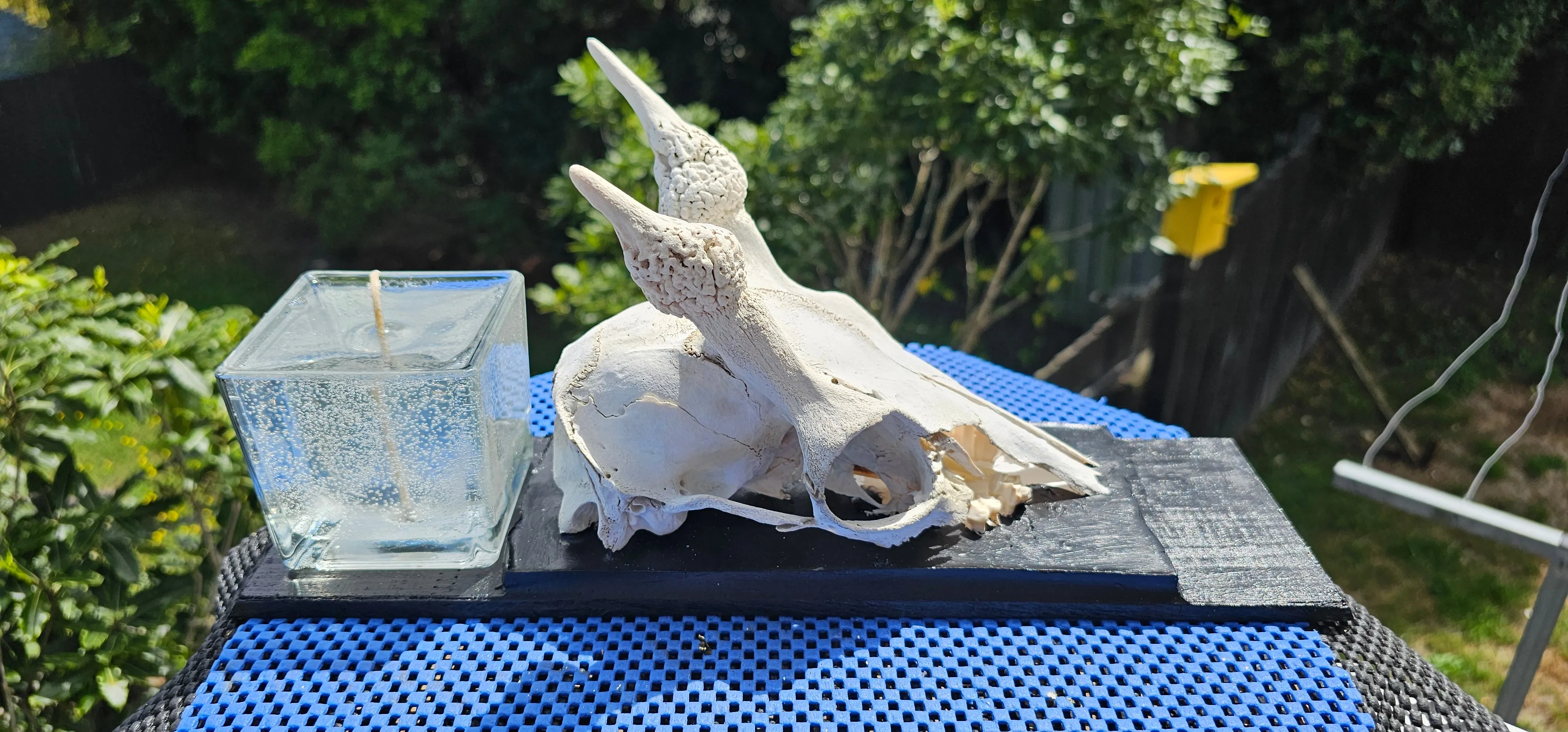 GOAT SKULL CANDLE OR WALL ART