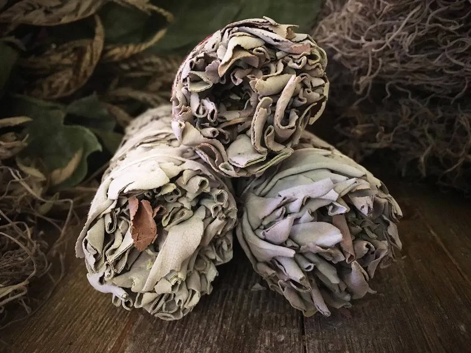 Large California White Sage - 8-9” Smudge Bundle