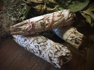 Large California White Sage - 8-9” Smudge Bundle