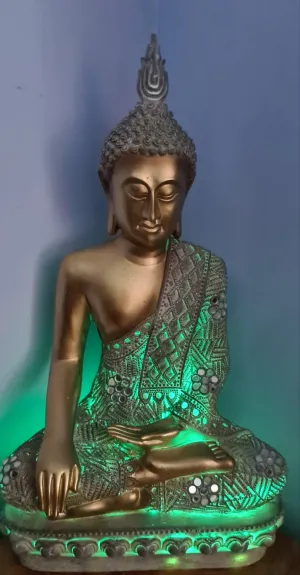 LARGE SITTING BUDDHA LAMP(put together by me)
