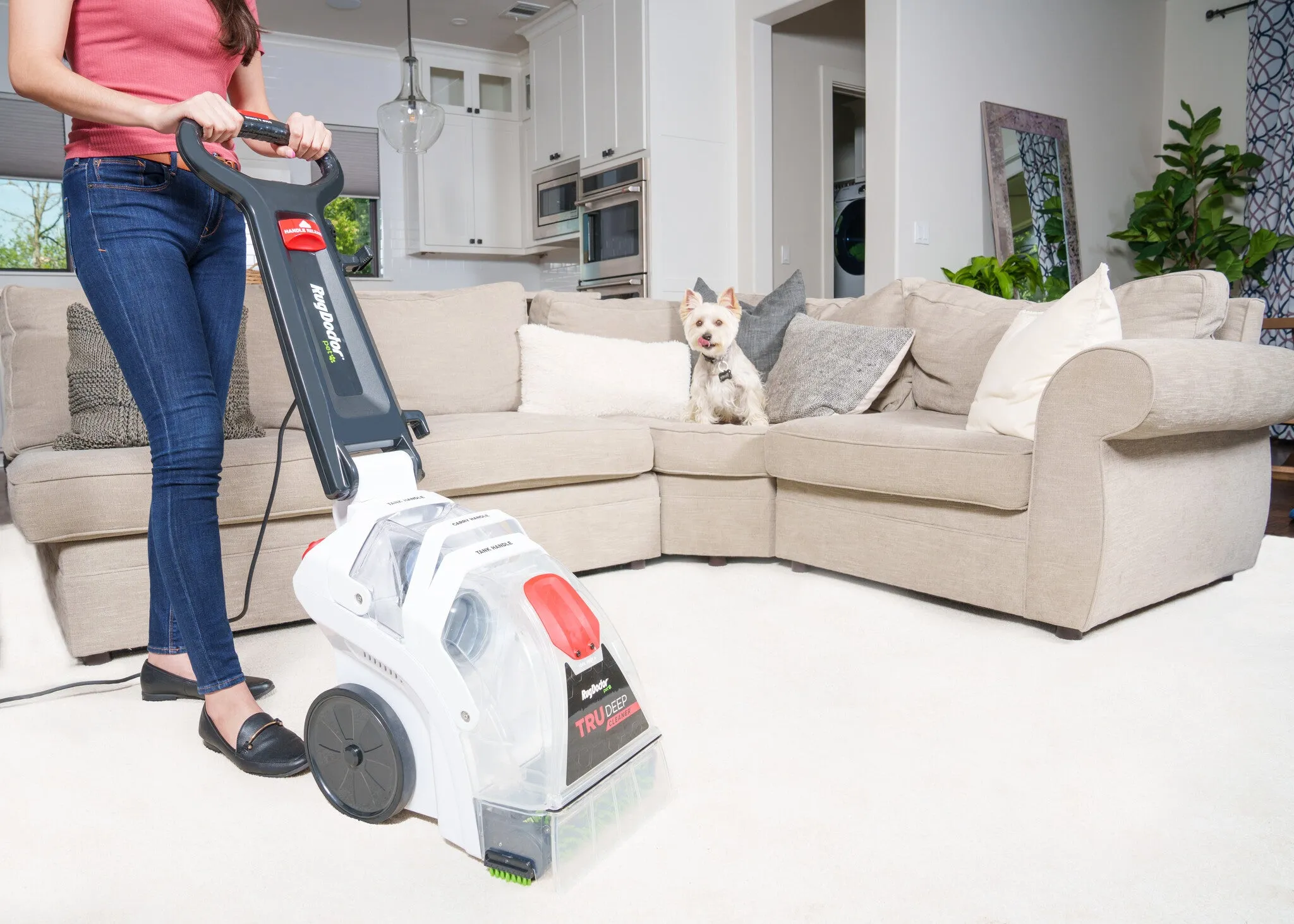 Rug Doctor TruDeep Cleaner carpet cleaning machine Walk-behind Deep Black, Transparent, White