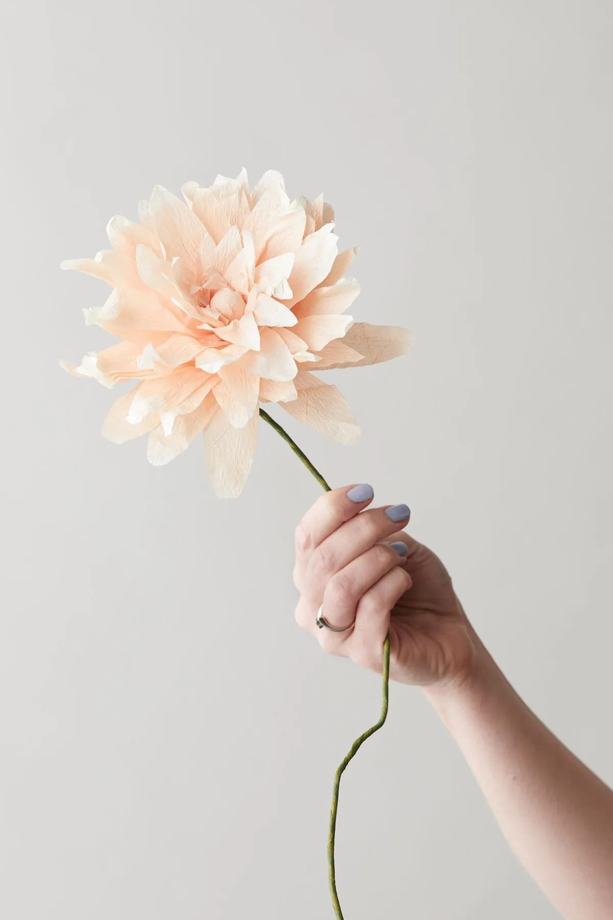 Studio About Paper Flower Grand Dahlia, Nude