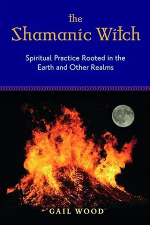 The Shamanic Witch by Gail Wood
