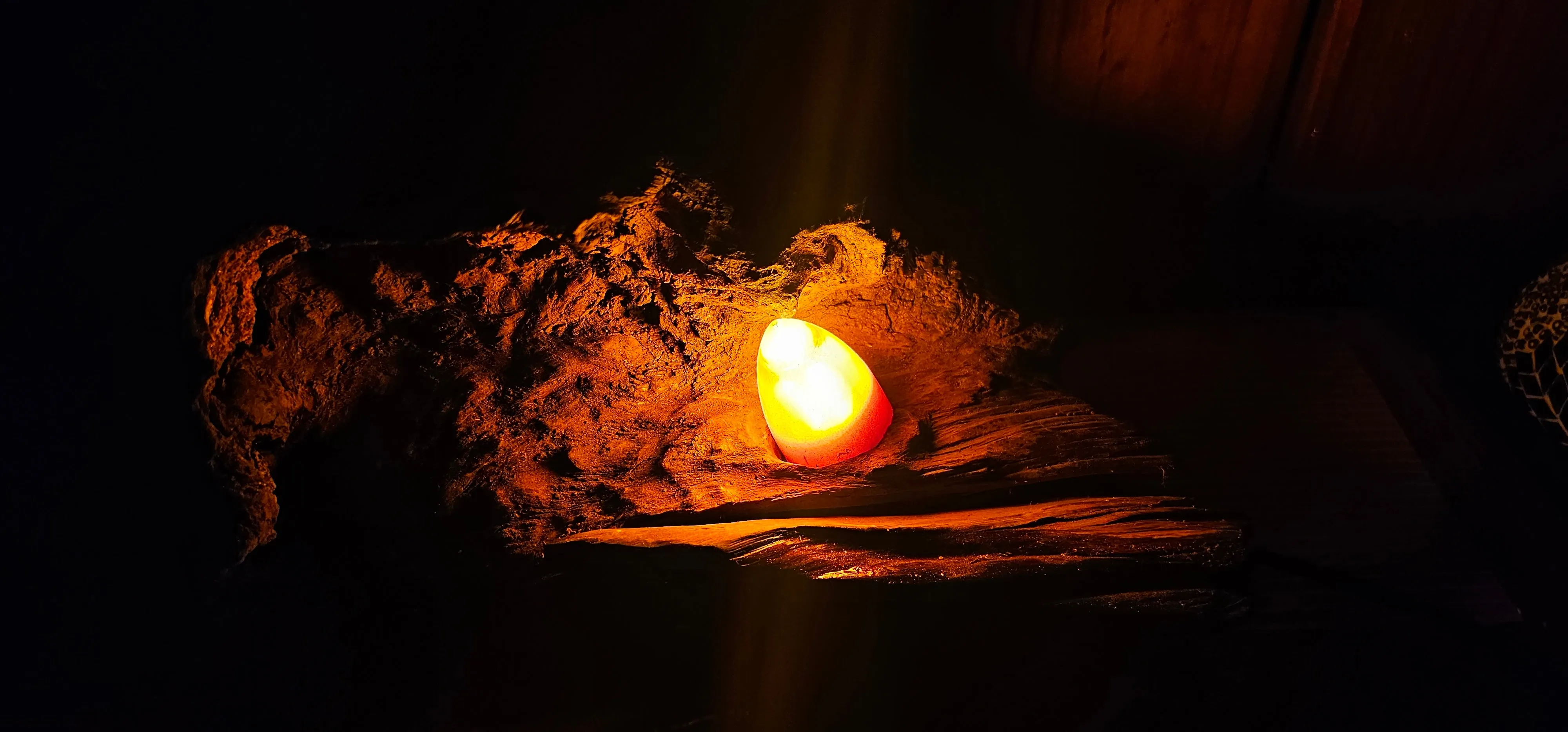 UNIQUE HANDMADE SWAMP KAURI BURL LAMP