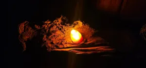 UNIQUE HANDMADE SWAMP KAURI BURL LAMP