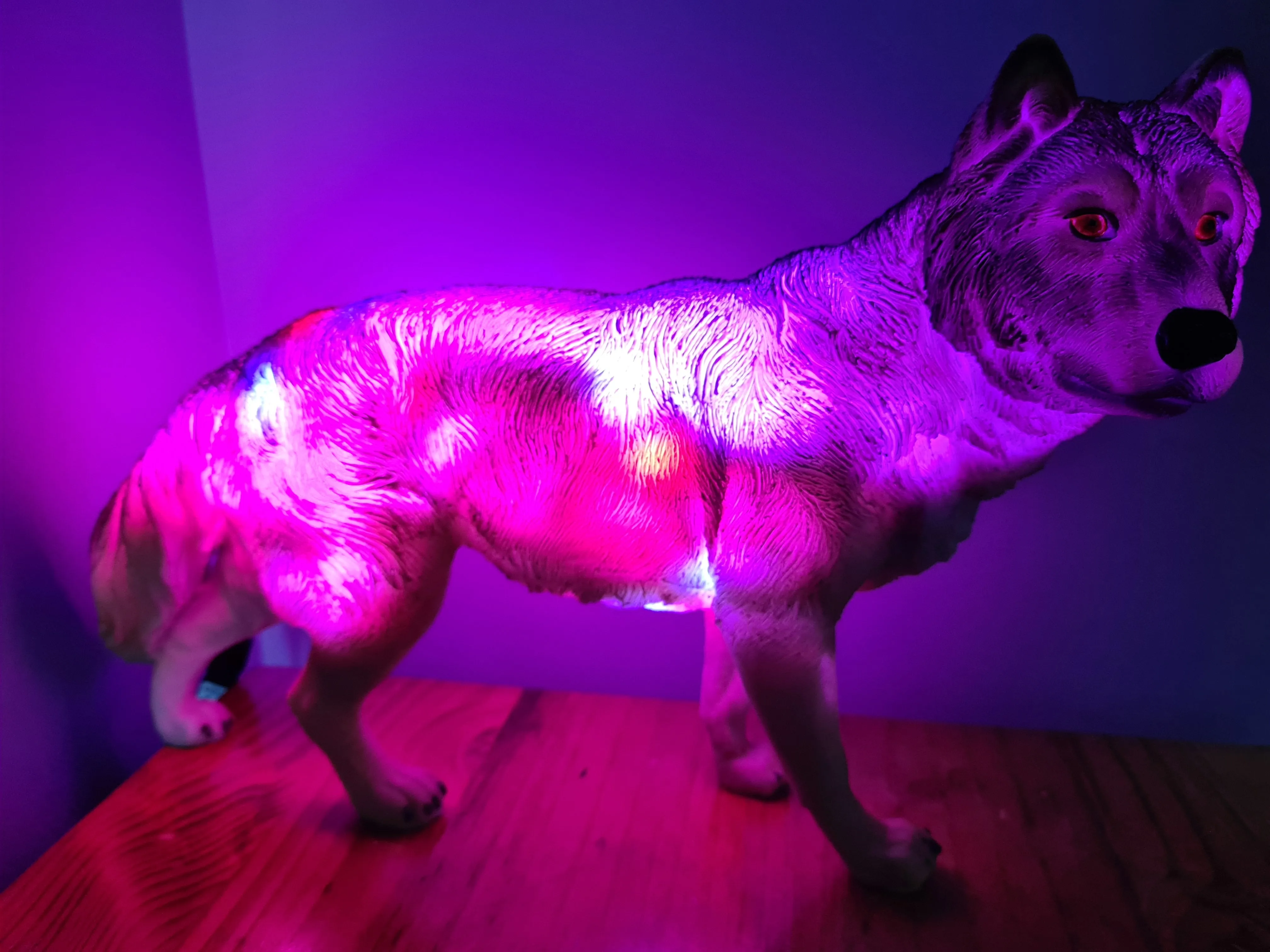 UNIQUE LARGE WOLF LAMP-made by me