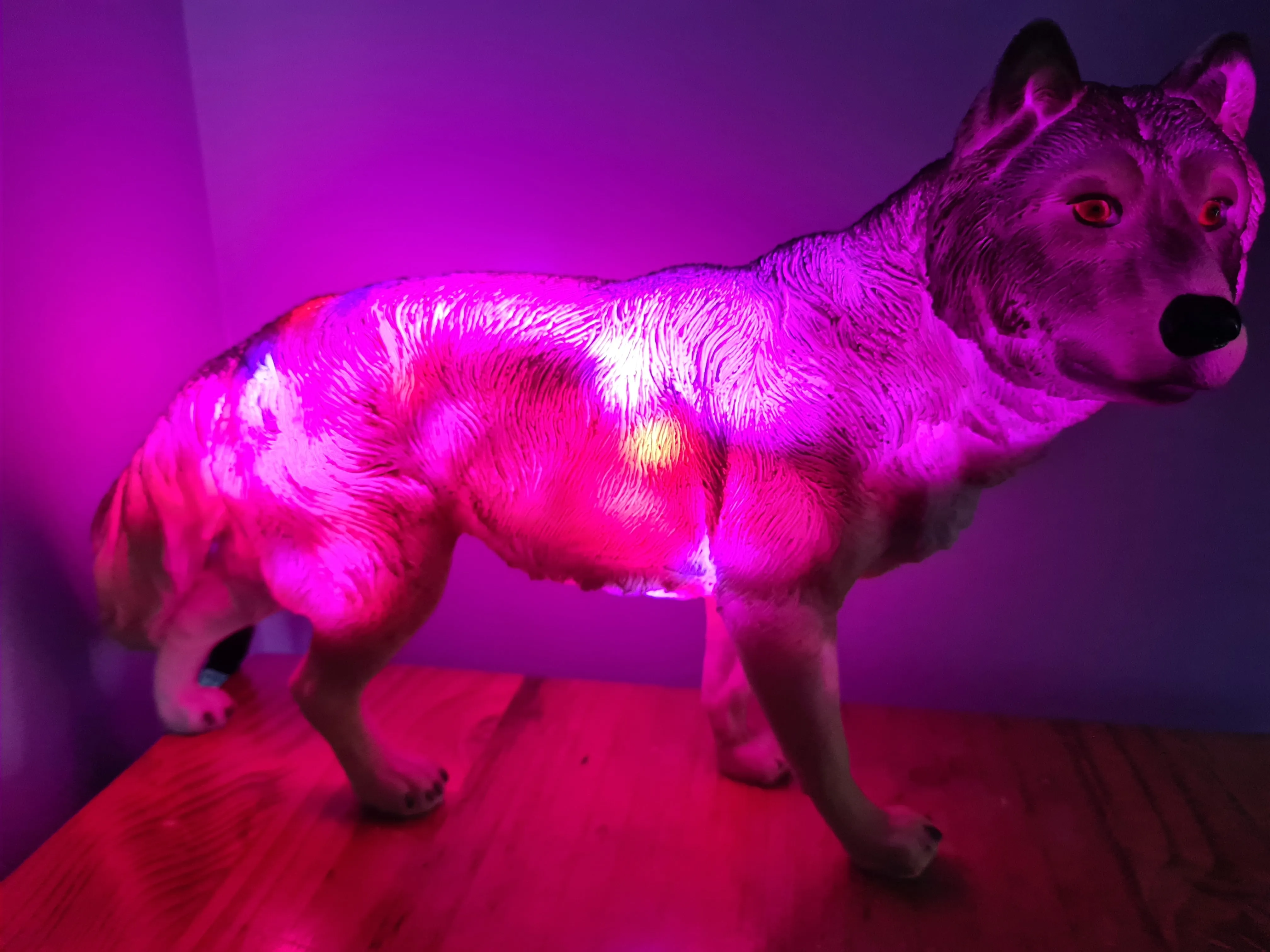 UNIQUE LARGE WOLF LAMP-made by me