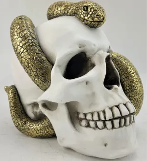 WHITE SNAKE SKULLS