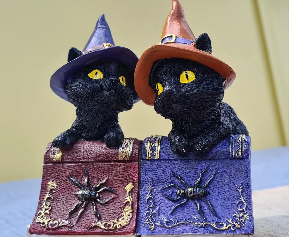 WITCH CAT ON SPELL BOOK