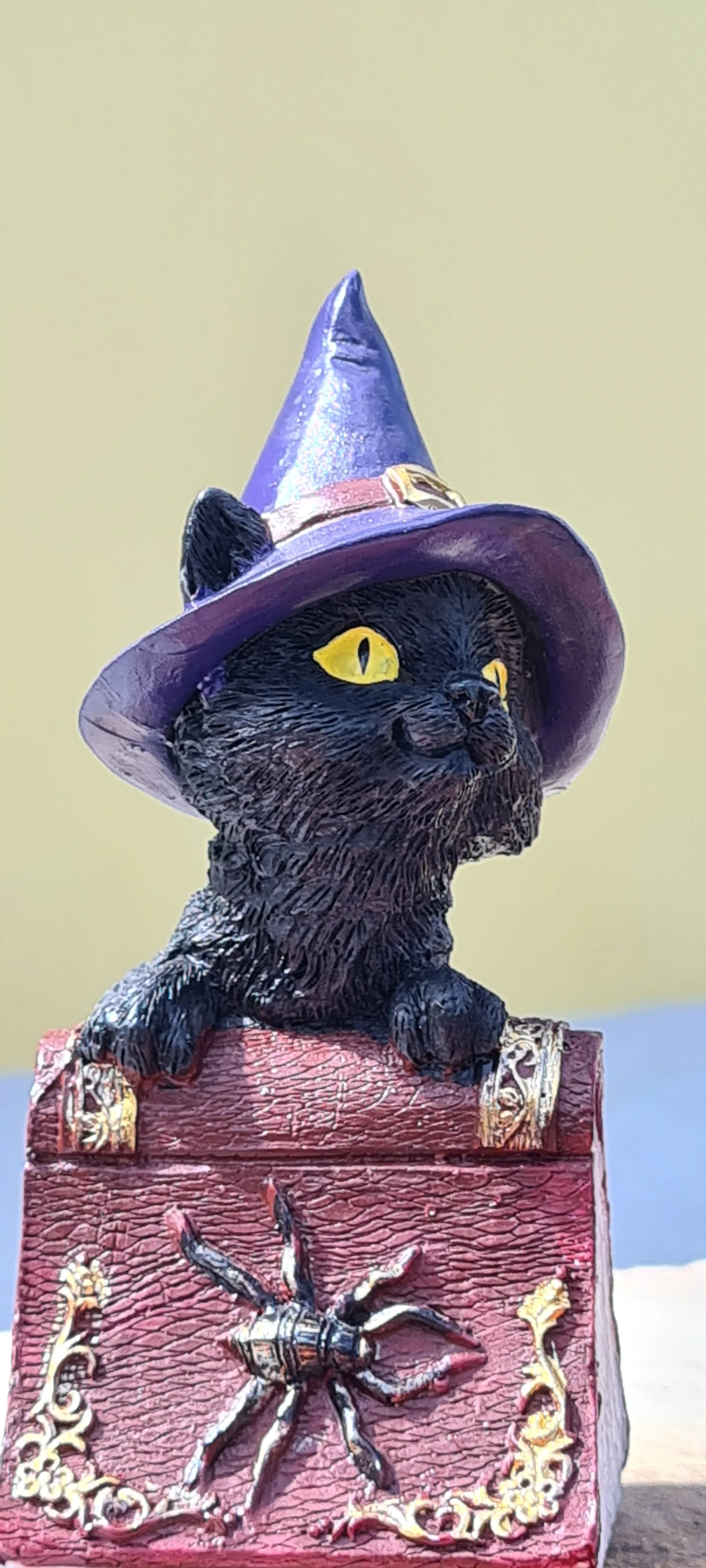 WITCH CAT ON SPELL BOOK